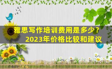 雅思写作培训费用是多少？ 2023年价格比较和建议